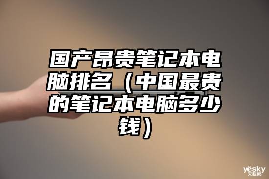 国产昂贵笔记本电脑排名（中国最贵的笔记本电脑多少钱）