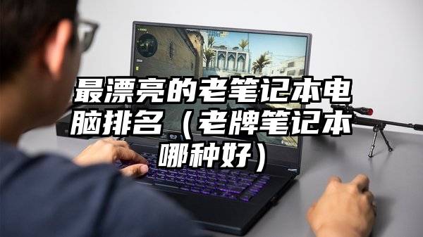 最漂亮的老笔记本电脑排名（老牌笔记本哪种好）
