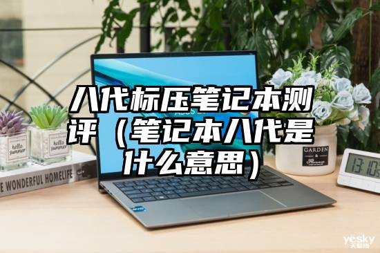 八代标压笔记本测评（笔记本八代是什么意思）