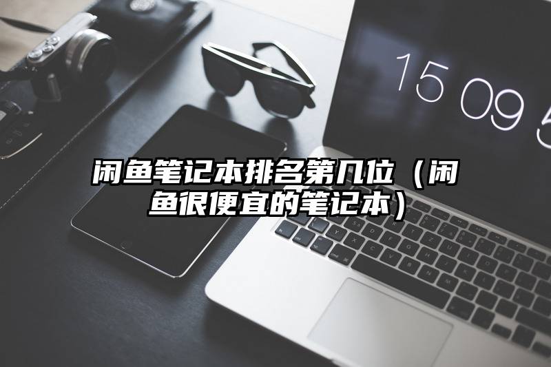 闲鱼笔记本排名第几位（闲鱼很便宜的笔记本）