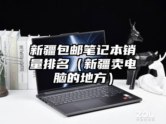 新疆包邮笔记本销量排名（新疆卖电脑的地方）