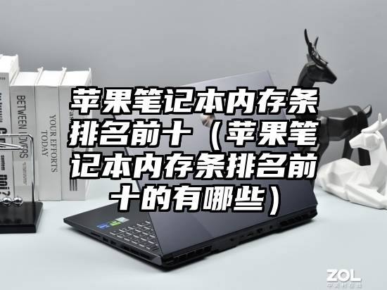 苹果笔记本内存条排名前十（苹果笔记本内存条排名前十的有哪些）