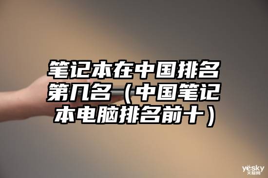 笔记本在中国排名第几名（中国笔记本电脑排名前十）