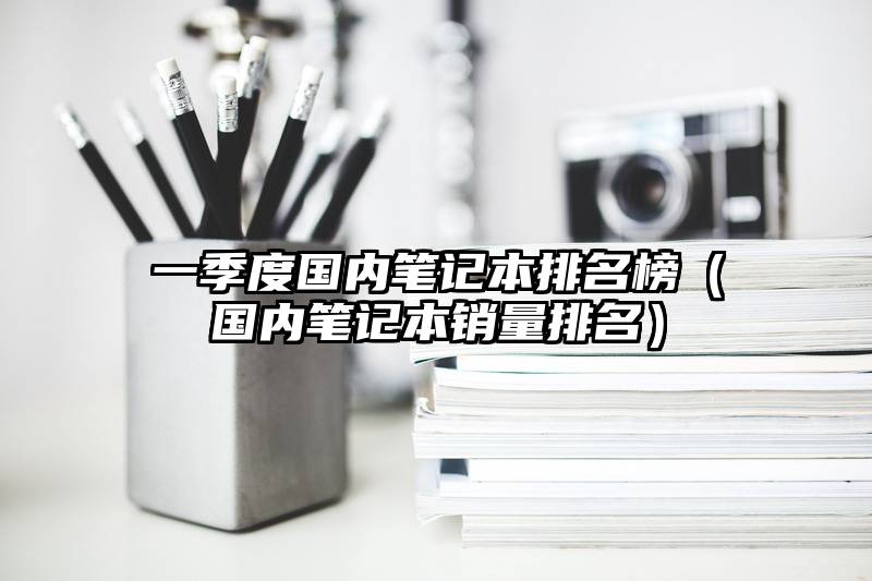 一季度国内笔记本排名榜（国内笔记本销量排名）