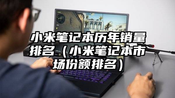 小米笔记本历年销量排名（小米笔记本市场份额排名）