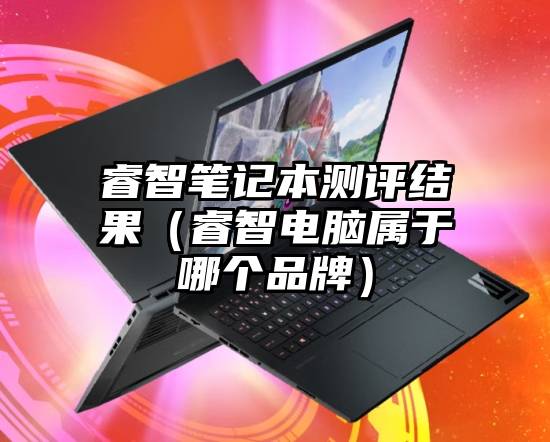 睿智笔记本测评结果（睿智电脑属于哪个品牌）