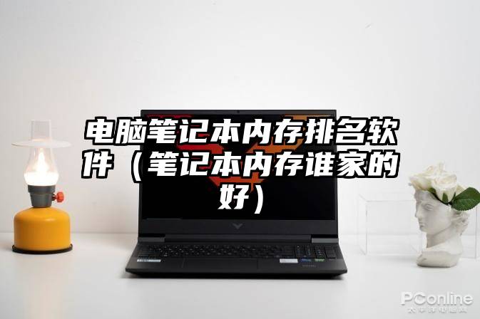 电脑笔记本内存排名软件（笔记本内存谁家的好）
