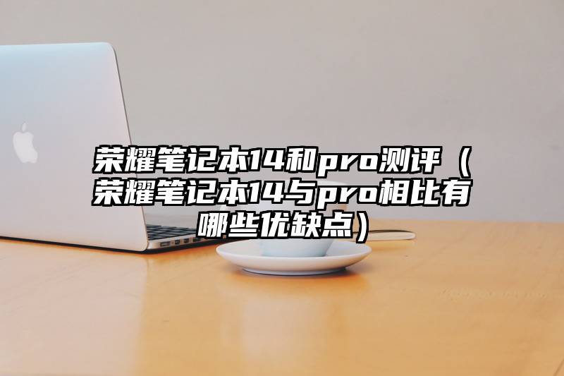 荣耀笔记本14和pro测评（荣耀笔记本14与pro相比有哪些优缺点）