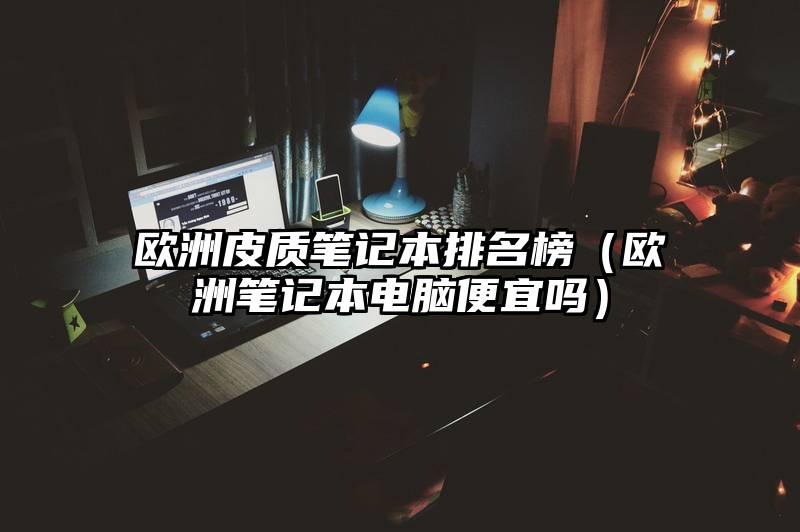 欧洲皮质笔记本排名榜（欧洲笔记本电脑便宜吗）