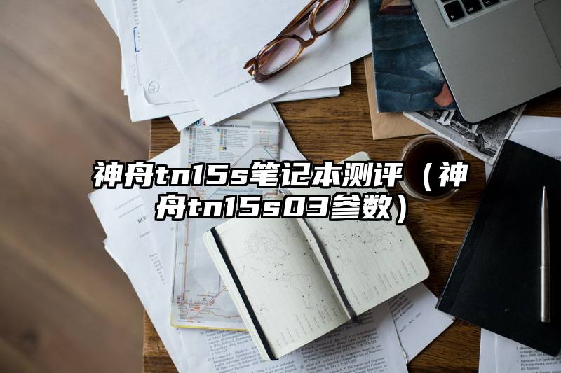 神舟tn15s笔记本测评（神舟tn15s03参数）