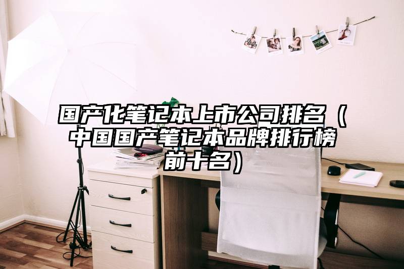 国产化笔记本上市公司排名（中国国产笔记本品牌排行榜前十名）