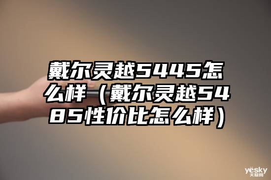 戴尔灵越5445怎么样（戴尔灵越5485性价比怎么样）