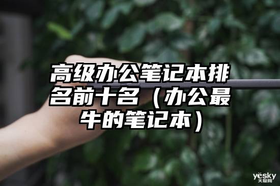 高级办公笔记本排名前十名（办公最牛的笔记本）