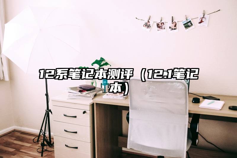 12系笔记本测评（12.1笔记本）