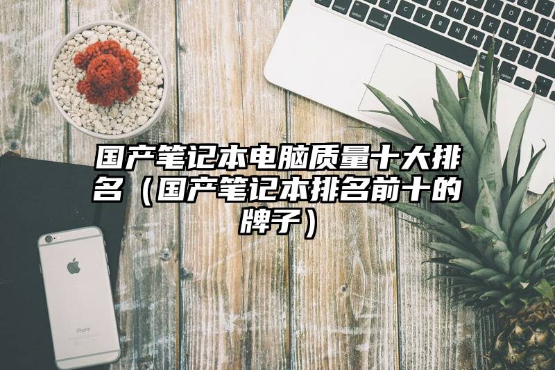 国产笔记本电脑质量十大排名（国产笔记本排名前十的牌子）