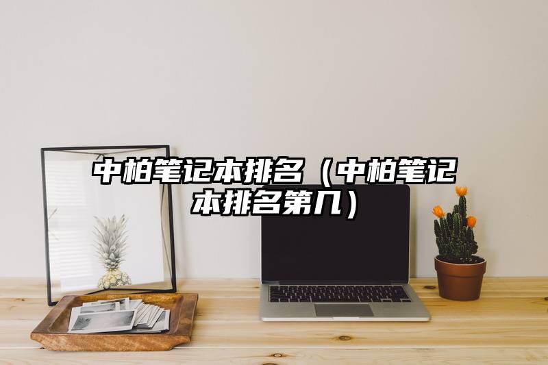 中柏笔记本排名（中柏笔记本排名第几）