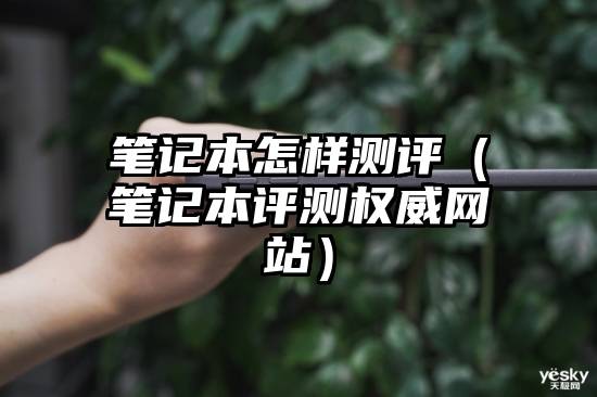 笔记本怎样测评（笔记本评测权威网站）