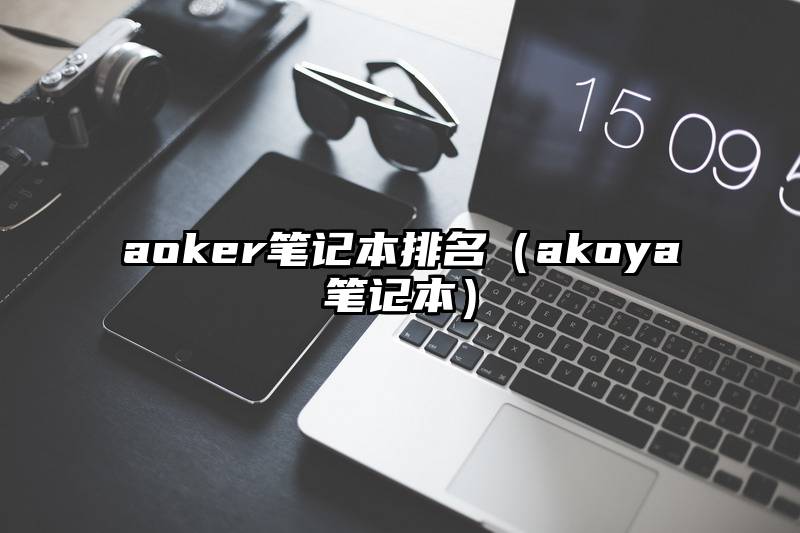 aoker笔记本排名（akoya笔记本）