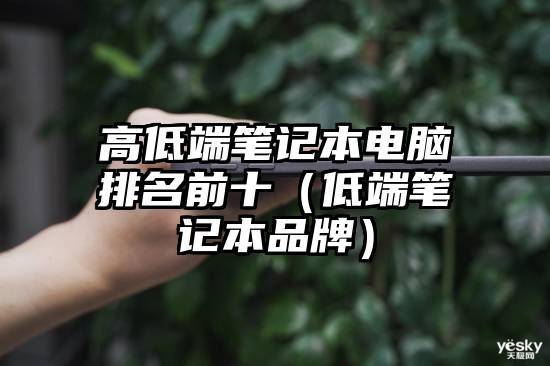 高低端笔记本电脑排名前十（低端笔记本品牌）