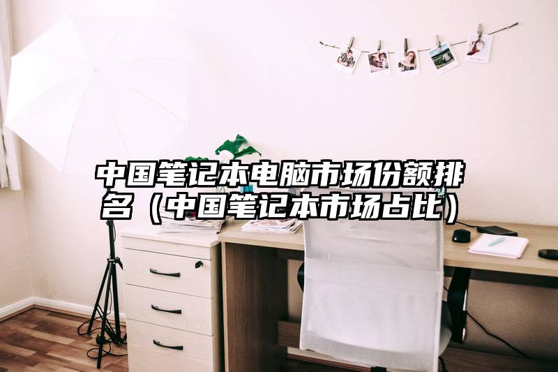 中国笔记本电脑市场份额排名（中国笔记本市场占比）