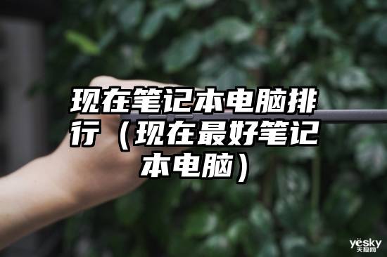 现在笔记本电脑排行（现在最好笔记本电脑）