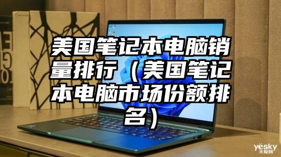 美国笔记本电脑销量排行（美国笔记本电脑市场份额排名）