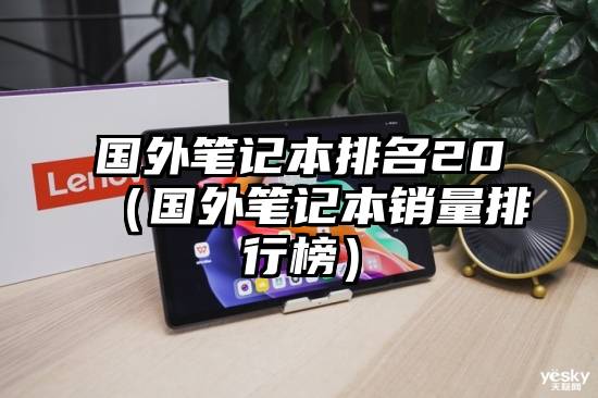 国外笔记本排名20（国外笔记本销量排行榜）