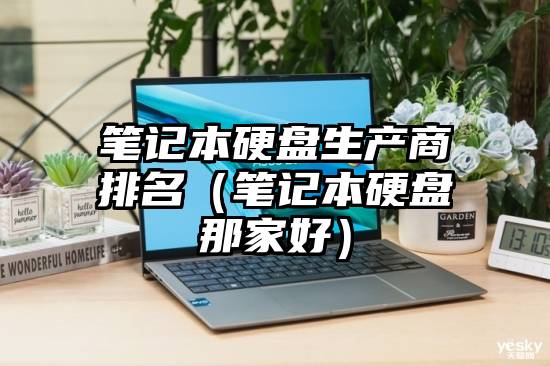 笔记本硬盘生产商排名（笔记本硬盘那家好）