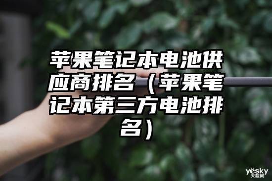 苹果笔记本电池供应商排名（苹果笔记本第三方电池排名）