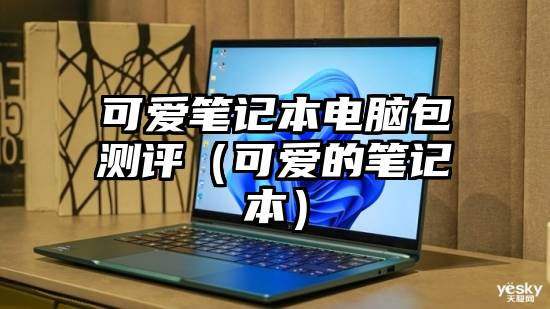 可爱笔记本电脑包测评（可爱的笔记本）