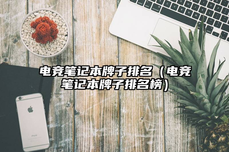电竞笔记本牌子排名（电竞笔记本牌子排名榜）