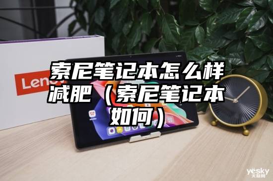 索尼笔记本怎么样减肥（索尼笔记本如何）