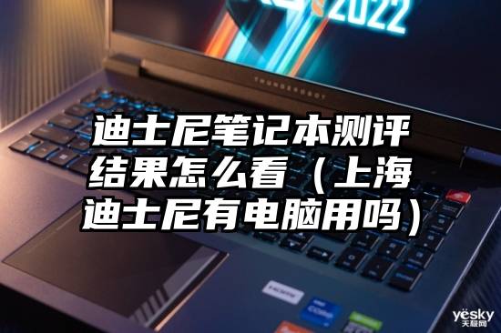 迪士尼笔记本测评结果怎么看（上海迪士尼有电脑用吗）