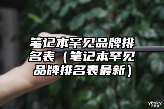 笔记本罕见品牌排名表（笔记本罕见品牌排名表最新）