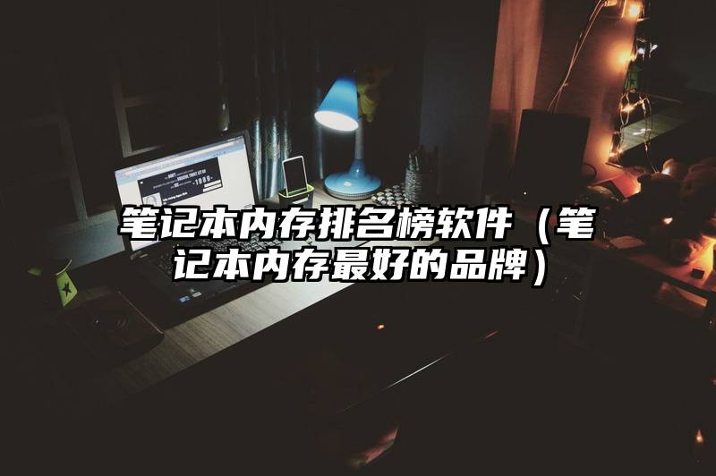 笔记本内存排名榜软件（笔记本内存最好的品牌）