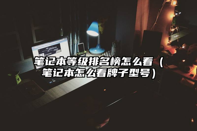 笔记本等级排名榜怎么看（笔记本怎么看牌子型号）