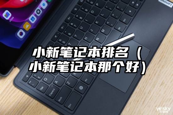 小新笔记本排名（小新笔记本那个好）