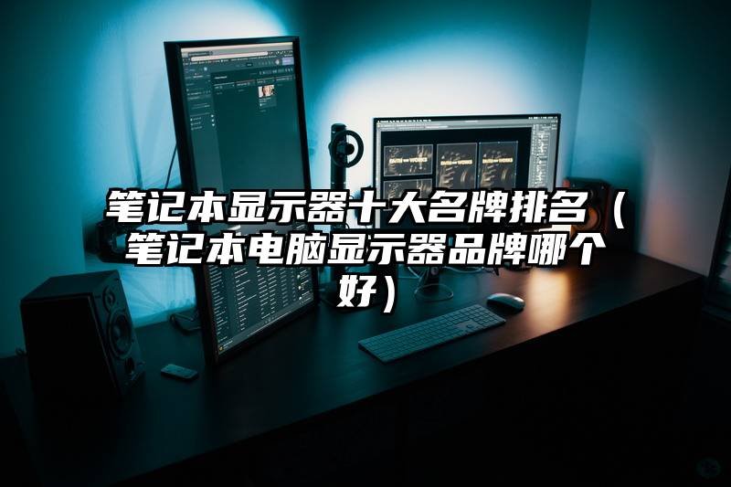 笔记本显示器十大名牌排名（笔记本电脑显示器品牌哪个好）