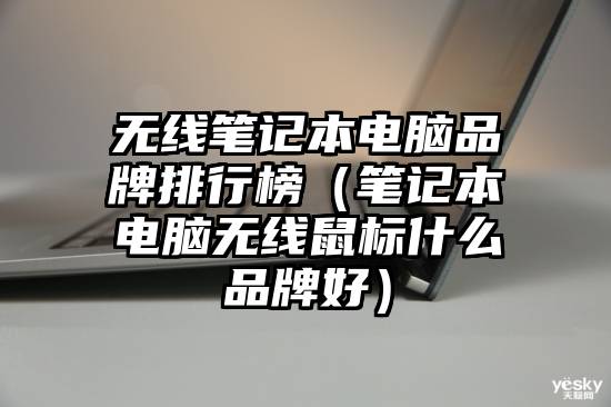 无线笔记本电脑品牌排行榜（笔记本电脑无线鼠标什么品牌好）