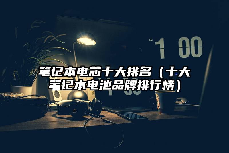 笔记本电芯十大排名（十大笔记本电池品牌排行榜）