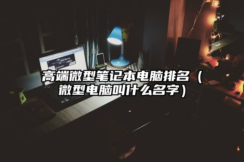 高端微型笔记本电脑排名（微型电脑叫什么名字）