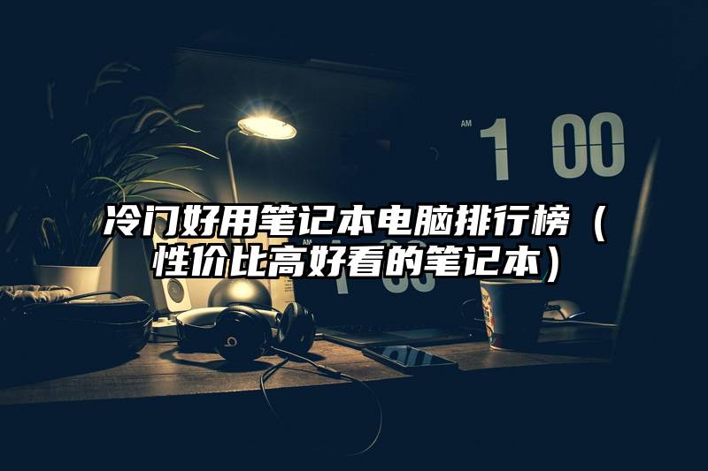 冷门好用笔记本电脑排行榜（性价比高好看的笔记本）