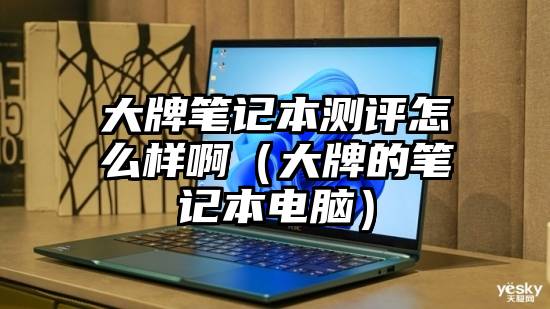 大牌笔记本测评怎么样啊（大牌的笔记本电脑）