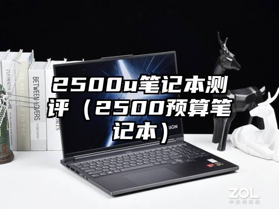 2500u笔记本测评（2500预算笔记本）