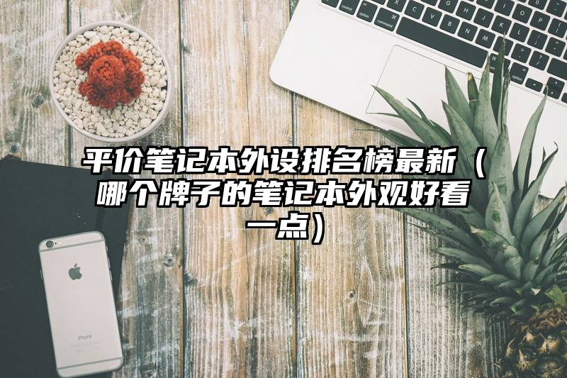 平价笔记本外设排名榜最新（哪个牌子的笔记本外观好看一点）