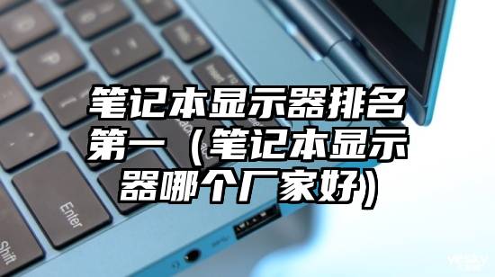 笔记本显示器排名第一(笔记本显示器哪个厂家好)