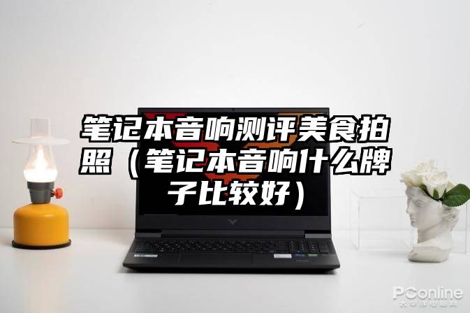 笔记本音响测评美食拍照（笔记本音响什么牌子比较好）