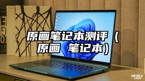 原画笔记本测评（原画 笔记本）