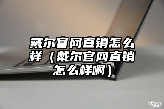 戴尔官网直销怎么样（戴尔官网直销怎么样啊）