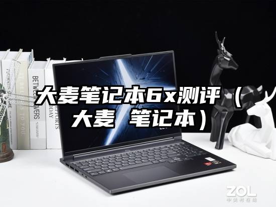 大麦笔记本6x测评（大麦 笔记本）